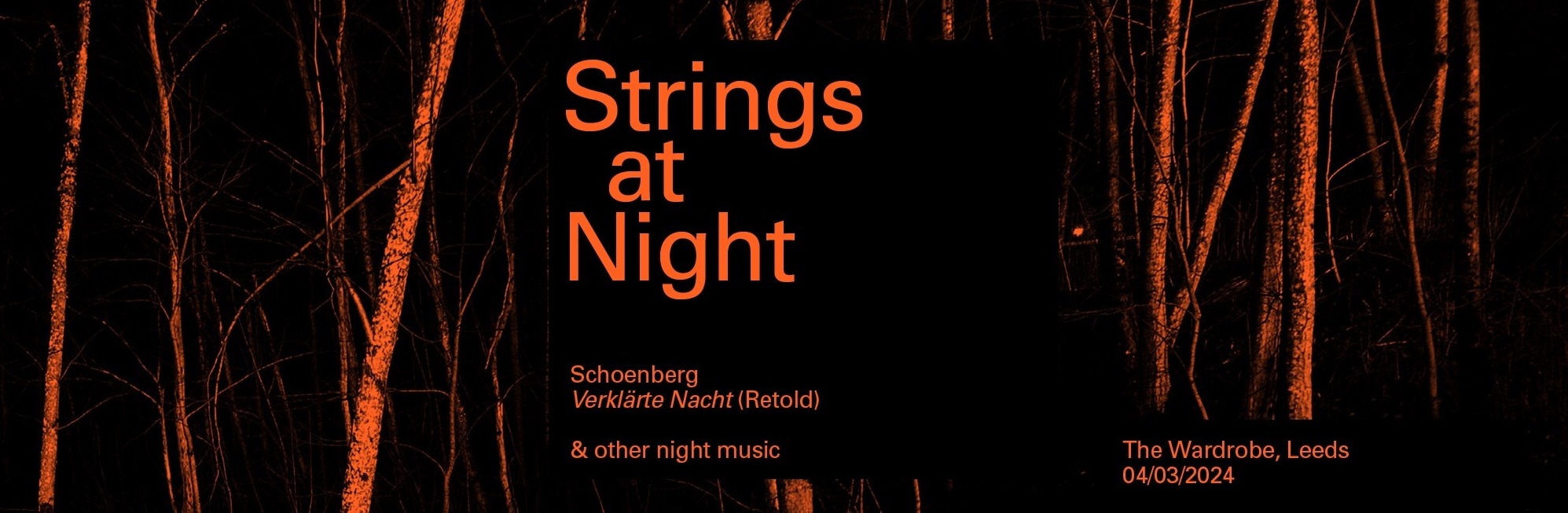 Avenue Ensemble – Strings at Night